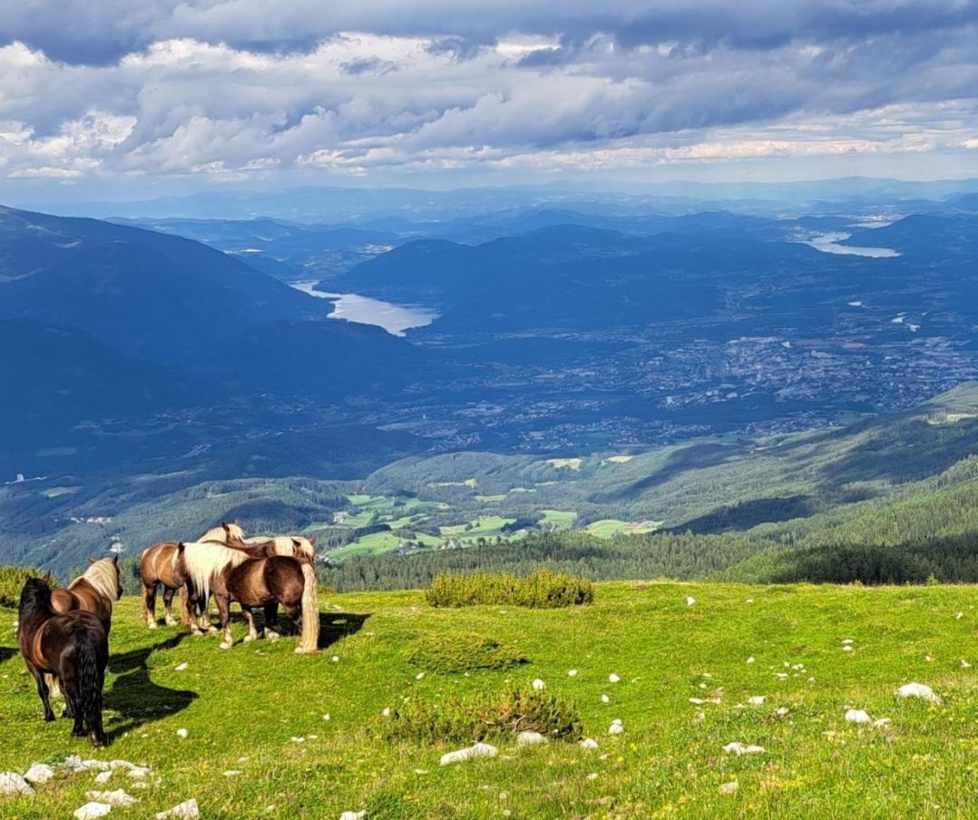 Direkter Seezugang Am Ossiacher See, Radfahren, Wandern & Erlebniscard Villach Extérieur photo